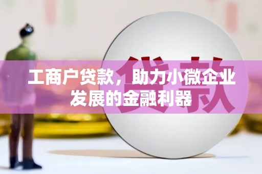 山南工商户贷款，助力小微企业发展的金融利器