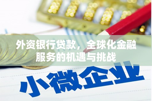 山南外资银行贷款，全球化金融服务的机遇与挑战