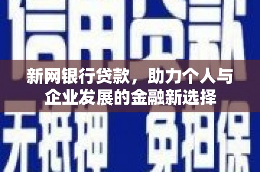 山南新网银行贷款，助力个人与企业发展的金融新选择