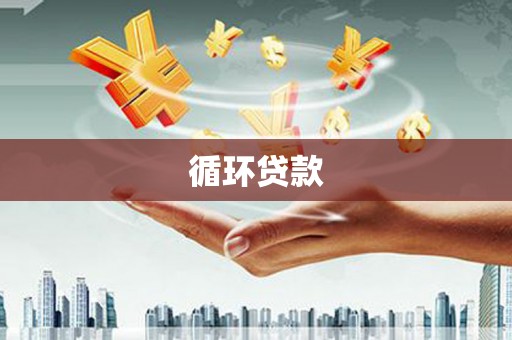山南循环贷款