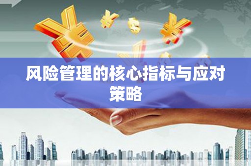 山南风险管理的核心指标与应对策略