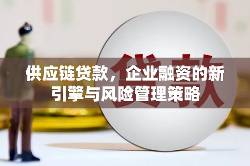 山南供应链贷款，企业融资的新引擎与风险管理策略