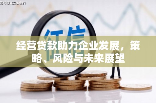 山南经营贷款助力企业发展，策略、风险与未来展望