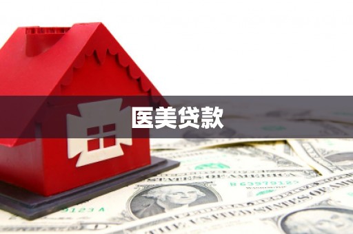 山南医美贷款