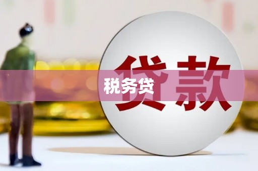 山南税务贷