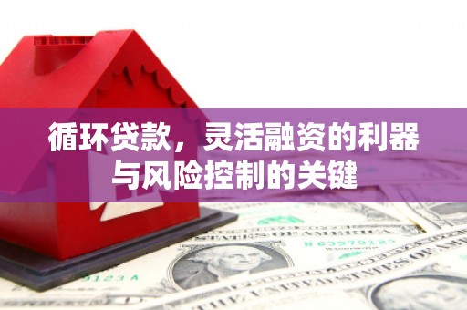 山南循环贷款，灵活融资的利器与风险控制的关键