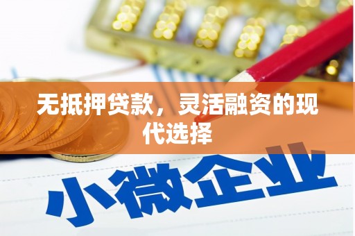 山南无抵押贷款，灵活融资的现代选择