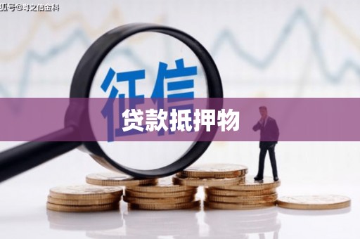 山南贷款抵押物