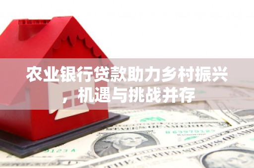 山南农业银行贷款助力乡村振兴，机遇与挑战并存