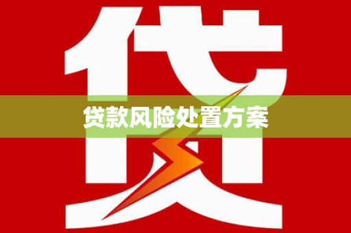 山南贷款风险处置方案