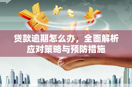 山南贷款逾期怎么办，全面解析应对策略与预防措施