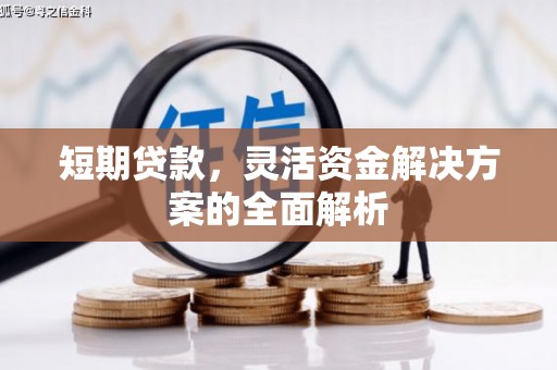 山南短期贷款，灵活资金解决方案的全面解析