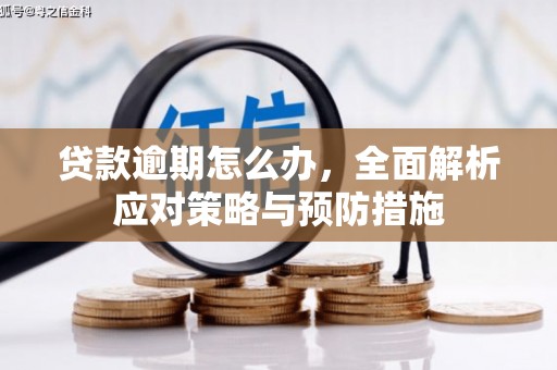 山南贷款逾期怎么办，全面解析应对策略与预防措施