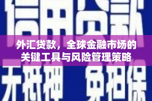 山南外汇贷款，全球金融市场的关键工具与风险管理策略