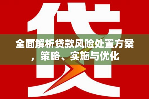 山南全面解析贷款风险处置方案，策略、实施与优化