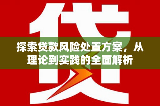 山南探索贷款风险处置方案，从理论到实践的全面解析