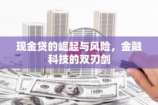 山南现金贷的崛起与风险，金融科技的双刃剑