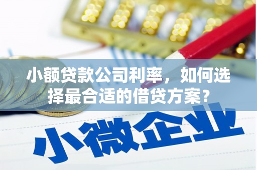 山南小额贷款公司利率，如何选择最合适的借贷方案？