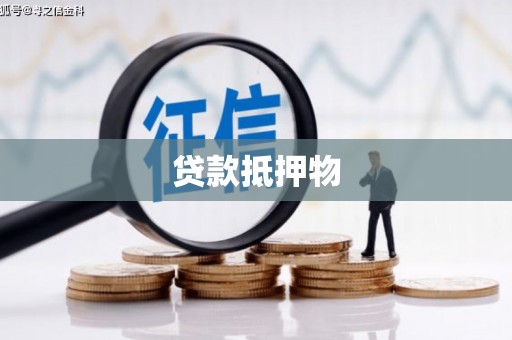 山南贷款抵押物