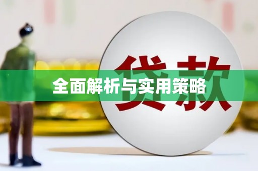 山南全面解析与实用策略
