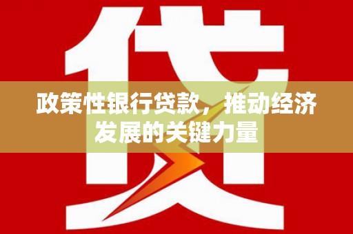 山南政策性银行贷款，推动经济发展的关键力量