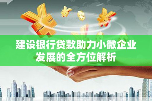 山南建设银行贷款助力小微企业发展的全方位解析