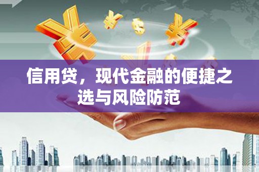 山南信用贷，现代金融的便捷之选与风险防范