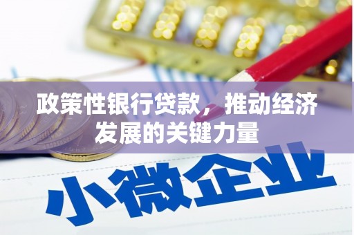 山南政策性银行贷款，推动经济发展的关键力量