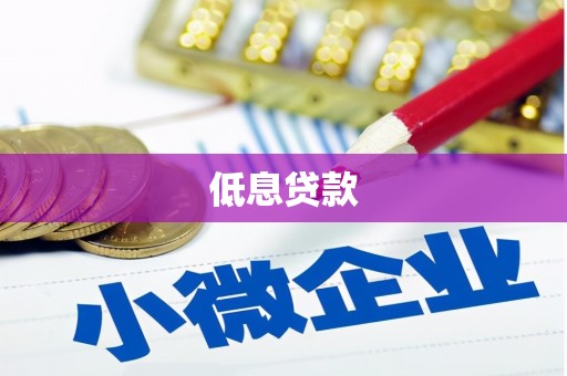 山南低息贷款