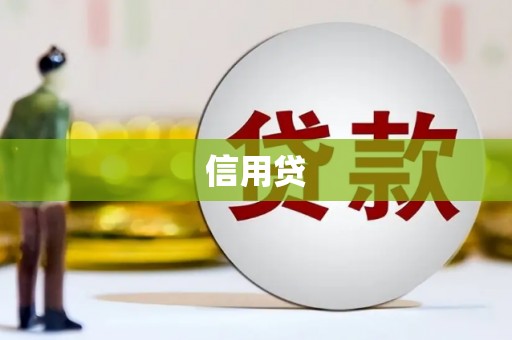 山南信用贷