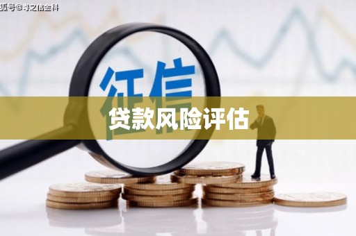 山南贷款风险评估
