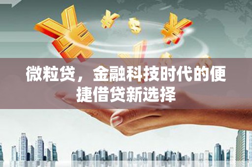 山南微粒贷，金融科技时代的便捷借贷新选择