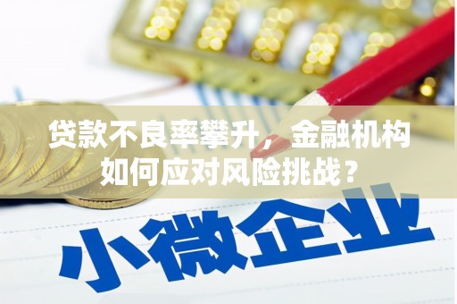 山南贷款不良率攀升，金融机构如何应对风险挑战？