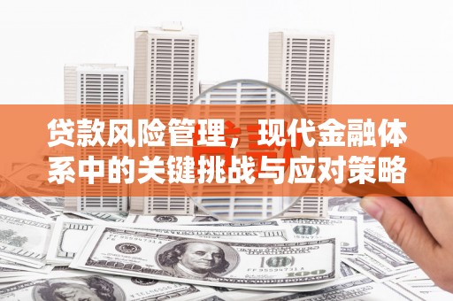 山南贷款风险管理，现代金融体系中的关键挑战与应对策略
