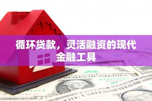 山南循环贷款，灵活融资的现代金融工具