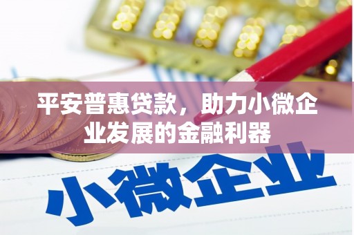 山南平安普惠贷款，助力小微企业发展的金融利器
