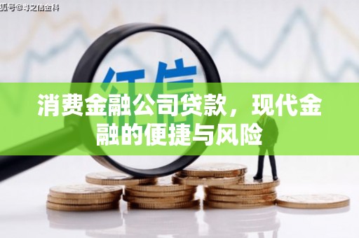 山南消费金融公司贷款，现代金融的便捷与风险