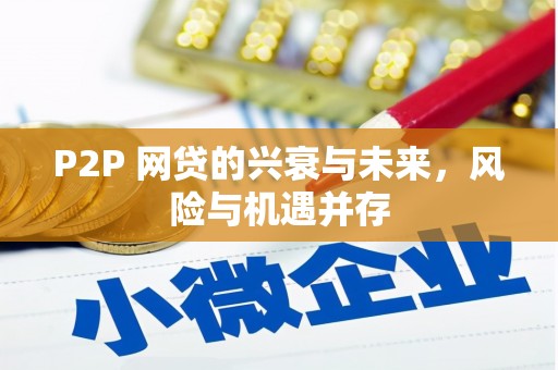山南P2P 网贷的兴衰与未来，风险与机遇并存