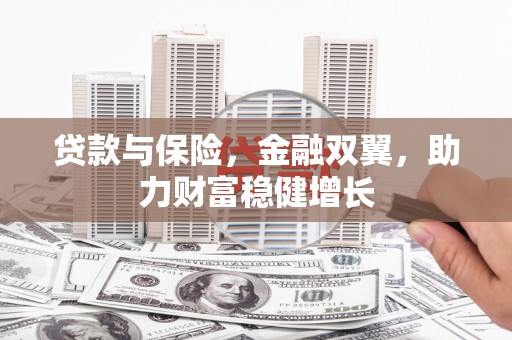 山南贷款与保险，金融双翼，助力财富稳健增长