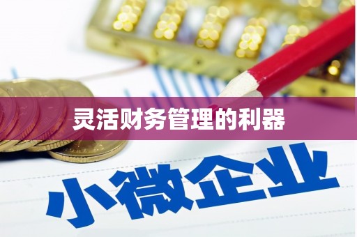 山南灵活财务管理的利器