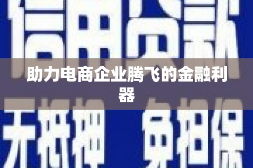 山南助力电商企业腾飞的金融利器