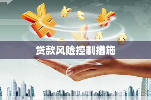 山南贷款风险控制措施