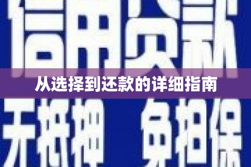 山南从选择到还款的详细指南