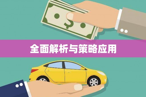 山南全面解析与策略应用