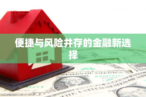 山南便捷与风险并存的金融新选择