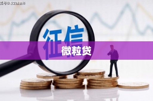 山南微粒贷