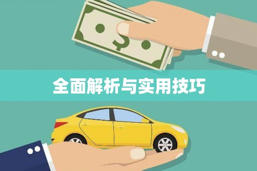 山南全面解析与实用技巧 山南全面解析与实用技巧