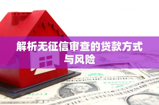 山南解析无征信审查的贷款方式与风险