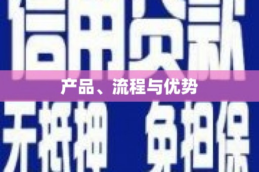 山南产品、流程与优势