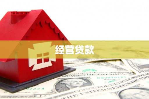 山南经营贷款